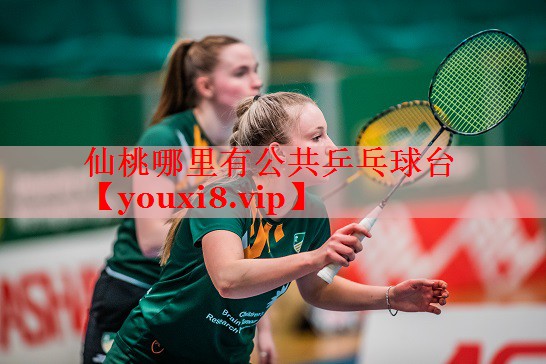 仙桃哪里有公共乒乓球台