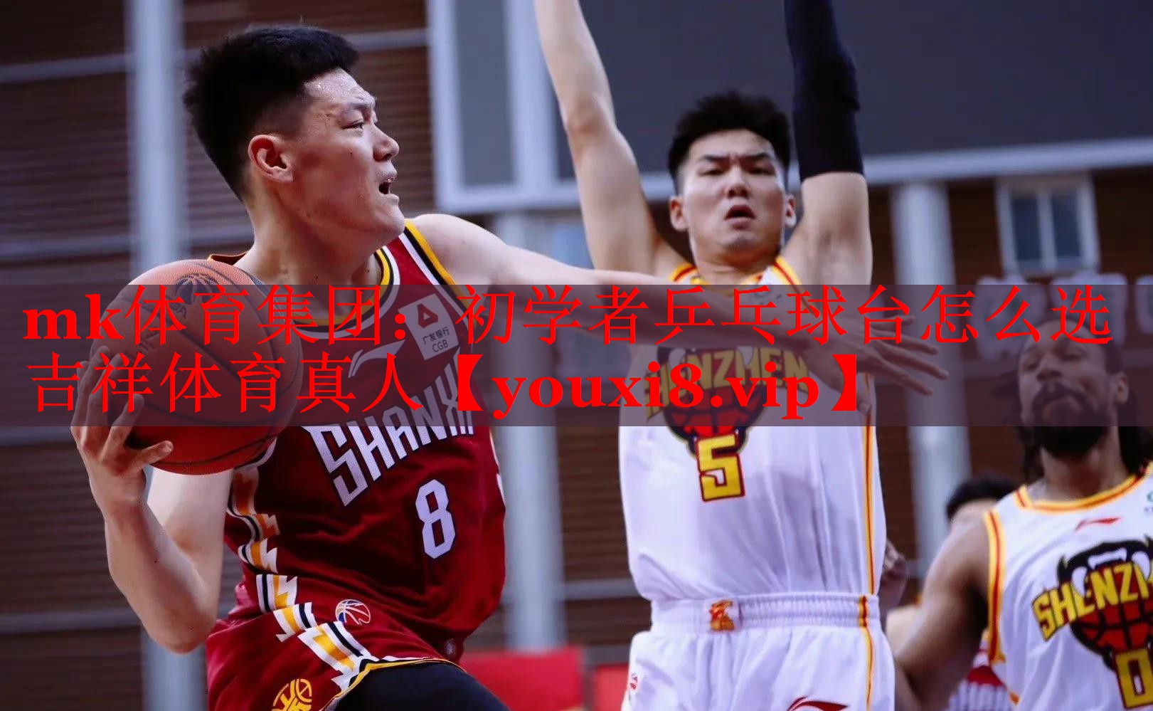 mk体育集团：初学者乒乓球台怎么选吉祥体育真人
