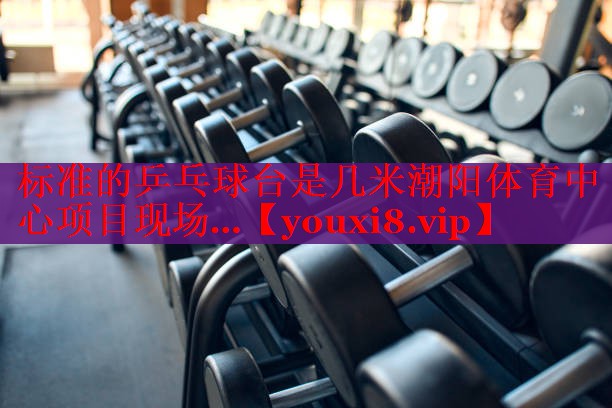 标准的乒乓球台是几米潮阳体育中心项目现场…