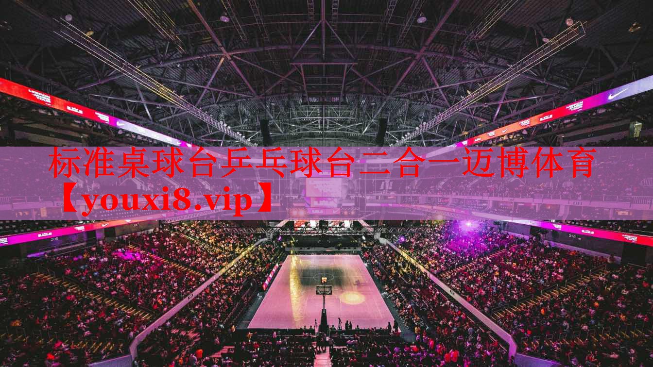标准桌球台乒乓球台二合一迈博体育