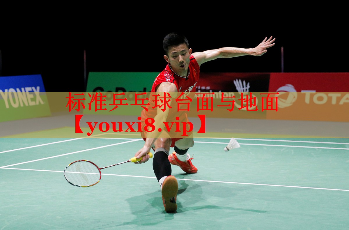 标准乒乓球台面与地面
