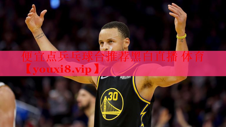 便宜点乒乓球台推荐黑白直播 体育