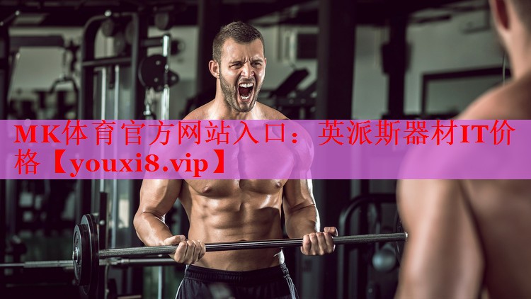 MK体育官方网站入口：英派斯器材IT价格