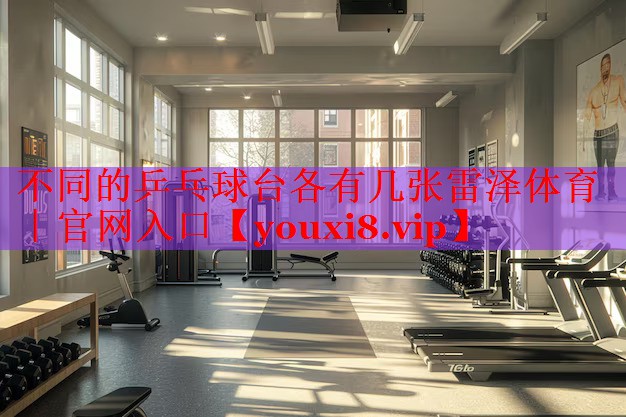 不同的乒乓球台各有几张雷泽体育｜官网入口