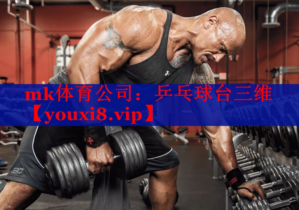 mk体育公司：乒乓球台三维