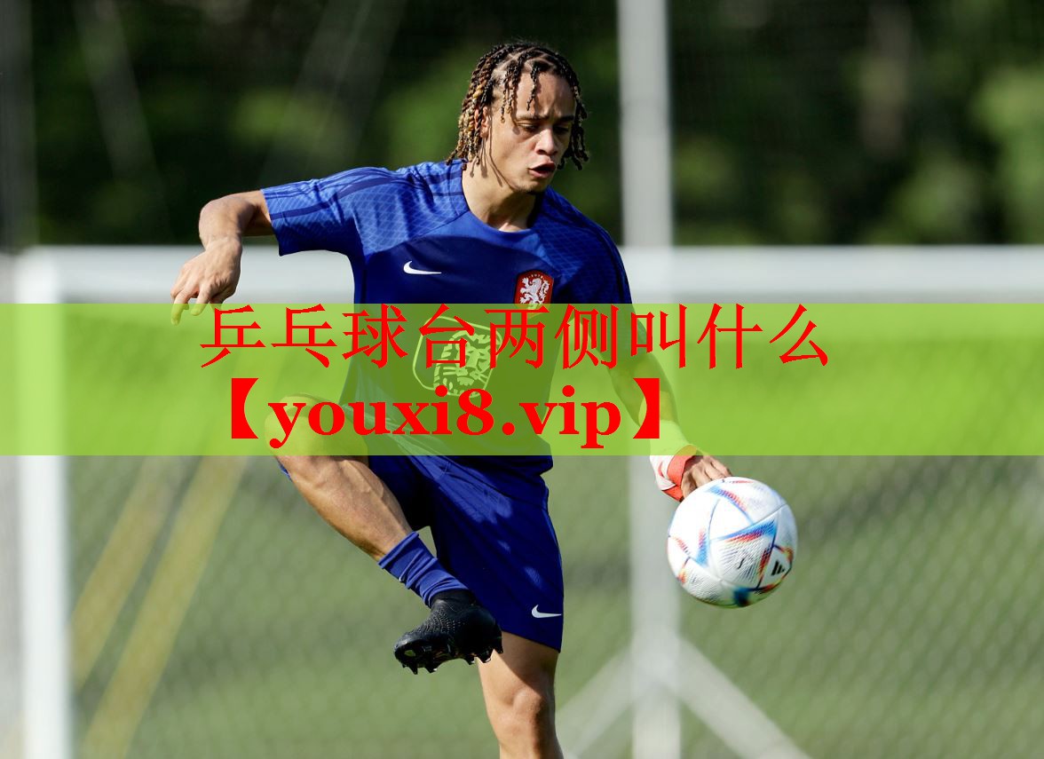 乒乓球台两侧叫什么
