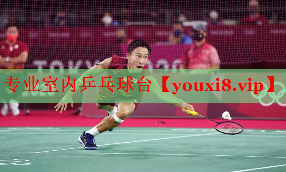 专业室内乒乓球台