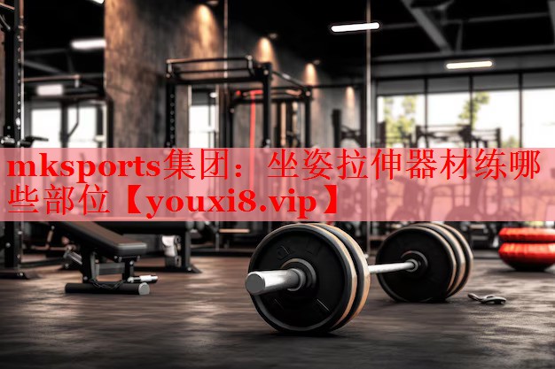 坐姿拉伸器材练哪些部位