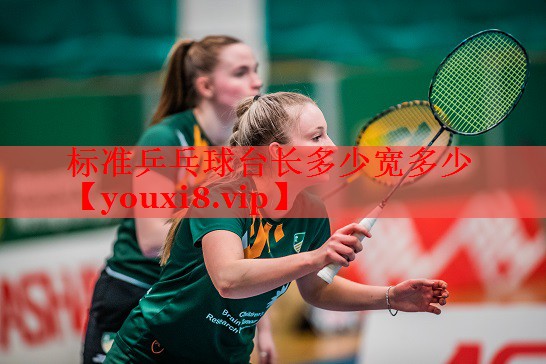 标准乒乓球台长多少宽多少