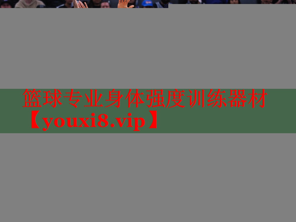 篮球专业身体强度训练器材