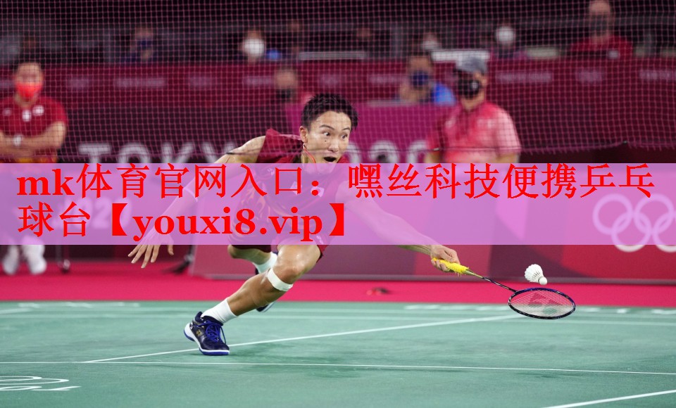 嘿丝科技便携乒乓球台