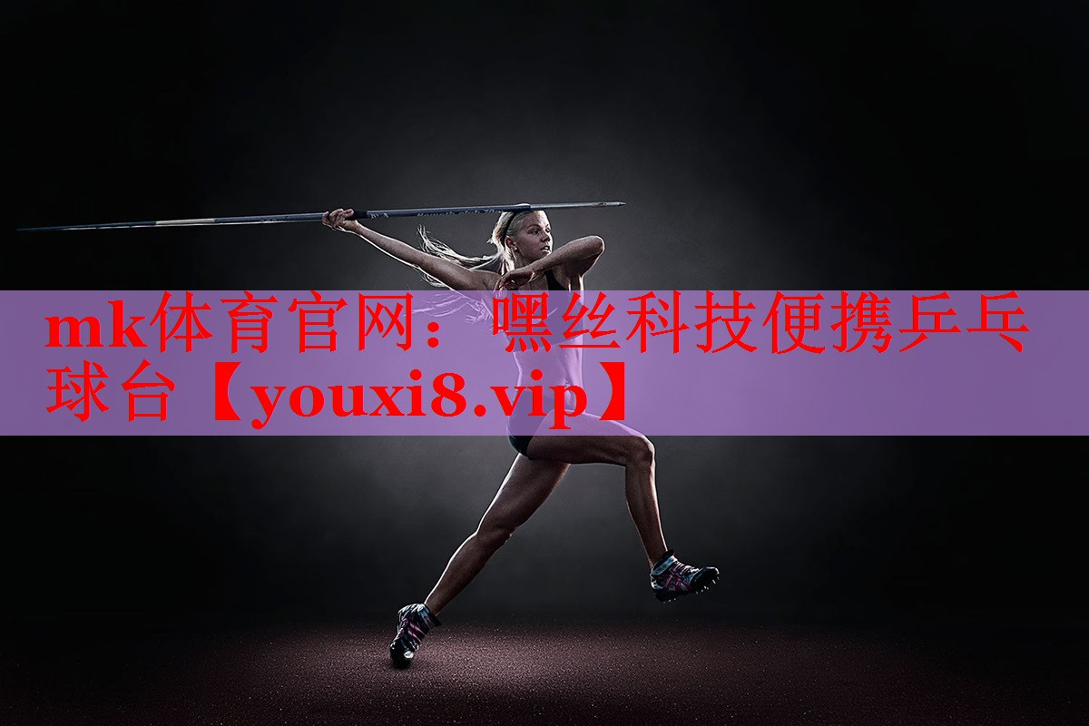 嘿丝科技便携乒乓球台