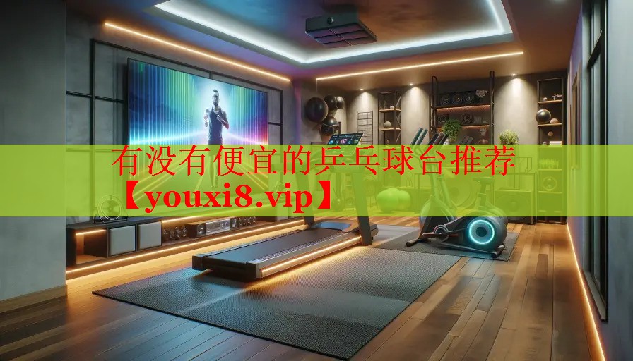 有没有便宜的乒乓球台推荐