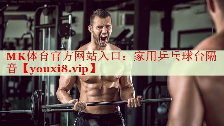 家用乒乓球台隔音