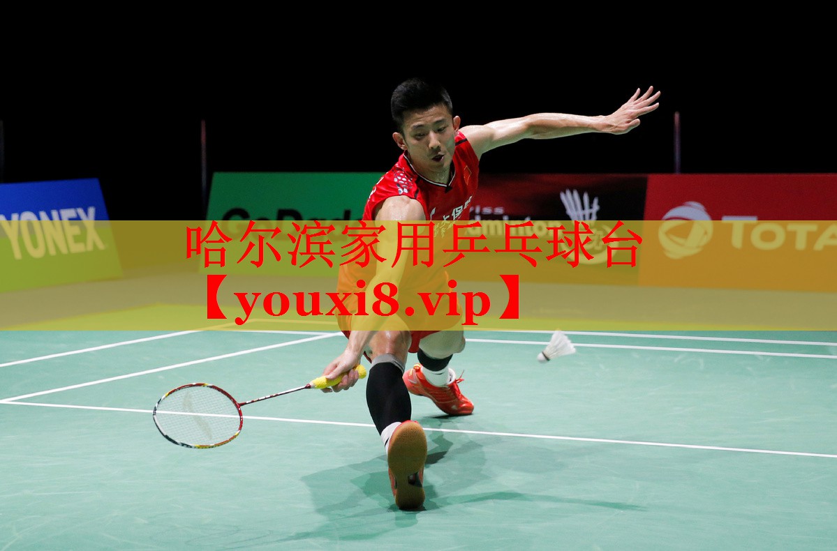哈尔滨家用乒乓球台