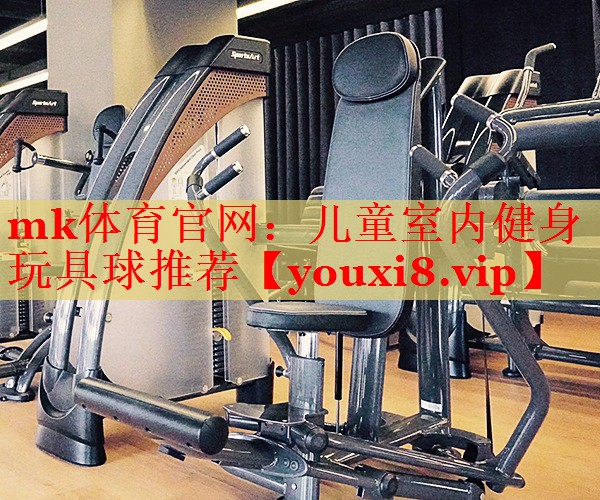 儿童室内健身玩具球推荐