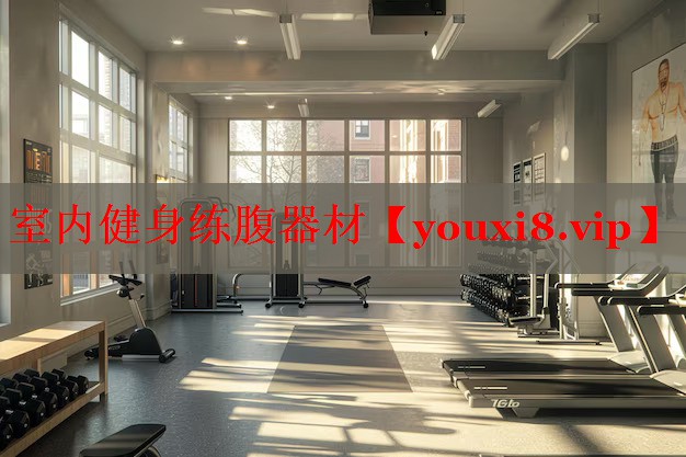 室内健身练腹器材
