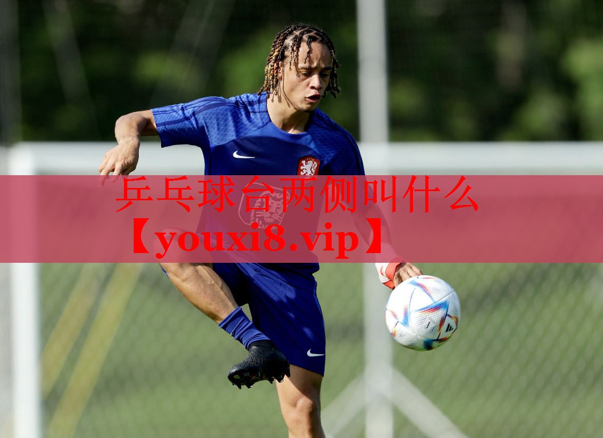 乒乓球台两侧叫什么